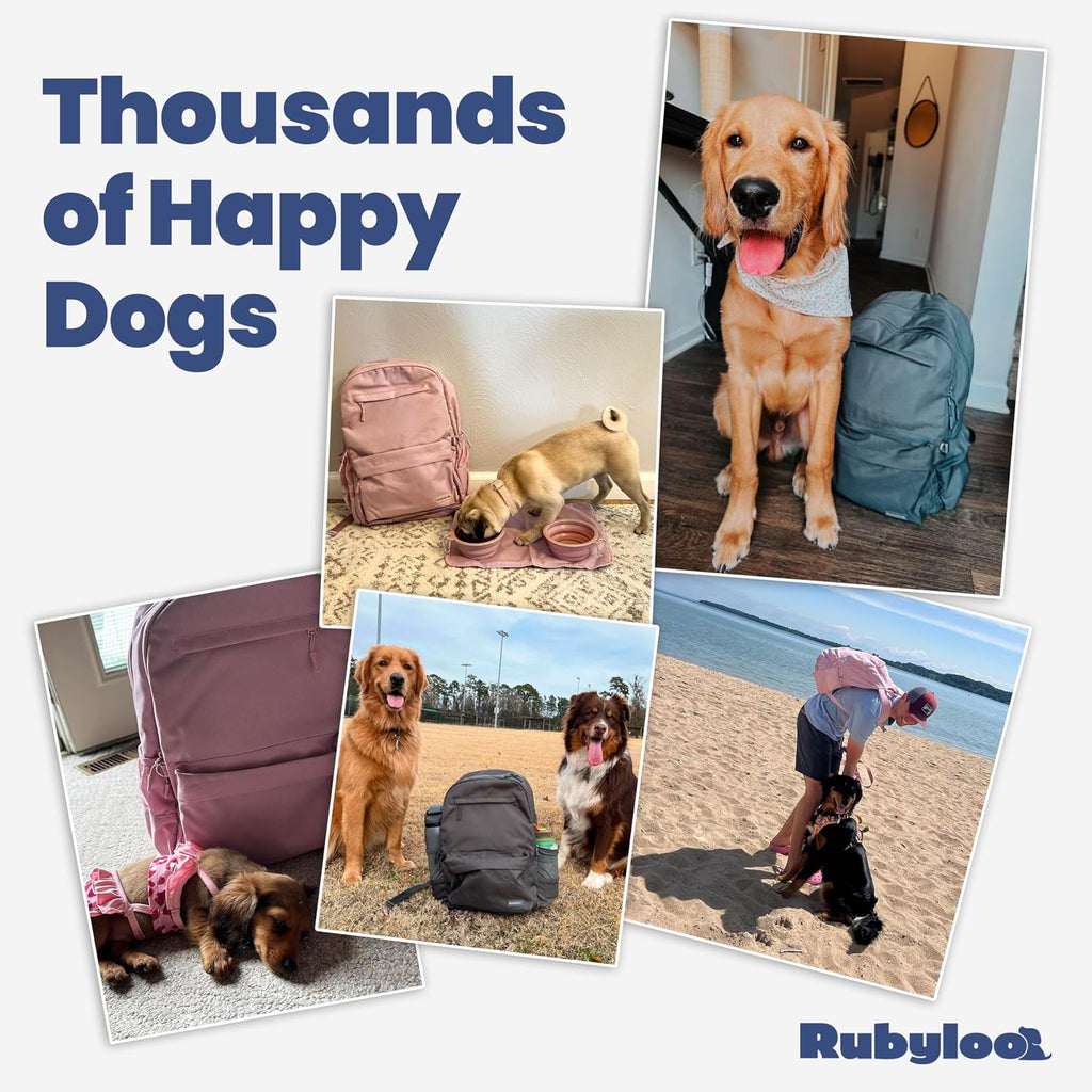 Dog Travel Backpack for Supplies - Dog Diaper Bag with Travel Bowls | 2 BPA-Free Bowls; Food Container & Treat Pouch; Placemat; Laptop Sleeve; Poop Bag Dispenser, Hiking, Camping & Road Trips,