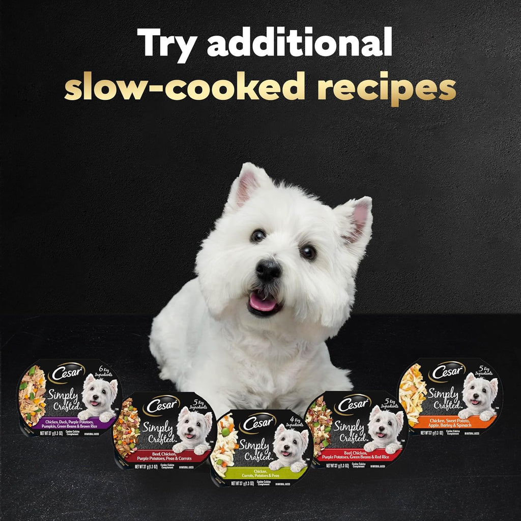 Cesar Simply Crafted Wet Dog Food Toppers, Chicken, 1.3 oz, 10 Count | Real chicken #1 ingredient, no by-products or artificial flavors, slow-cooked, easy to digest, single-serve tubs