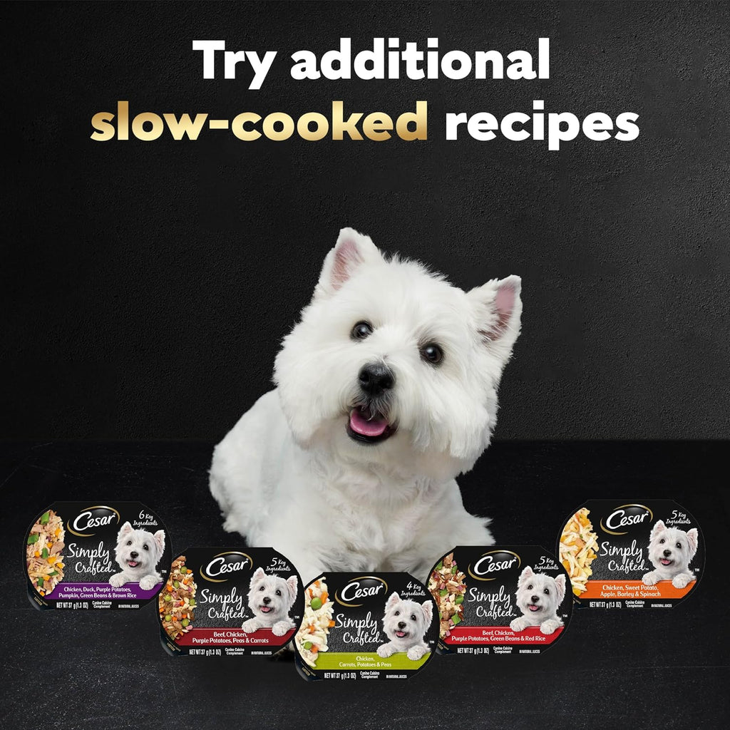 Cesar Simply Crafted Dog Food Topper, Chicken Pack, 1.3 oz, 8 Count, 2-Pack | Real chicken #1 ingredient, 5 key ingredients or less, slow-cooked, mix with food or serve alone, mess-free single-serve tubs