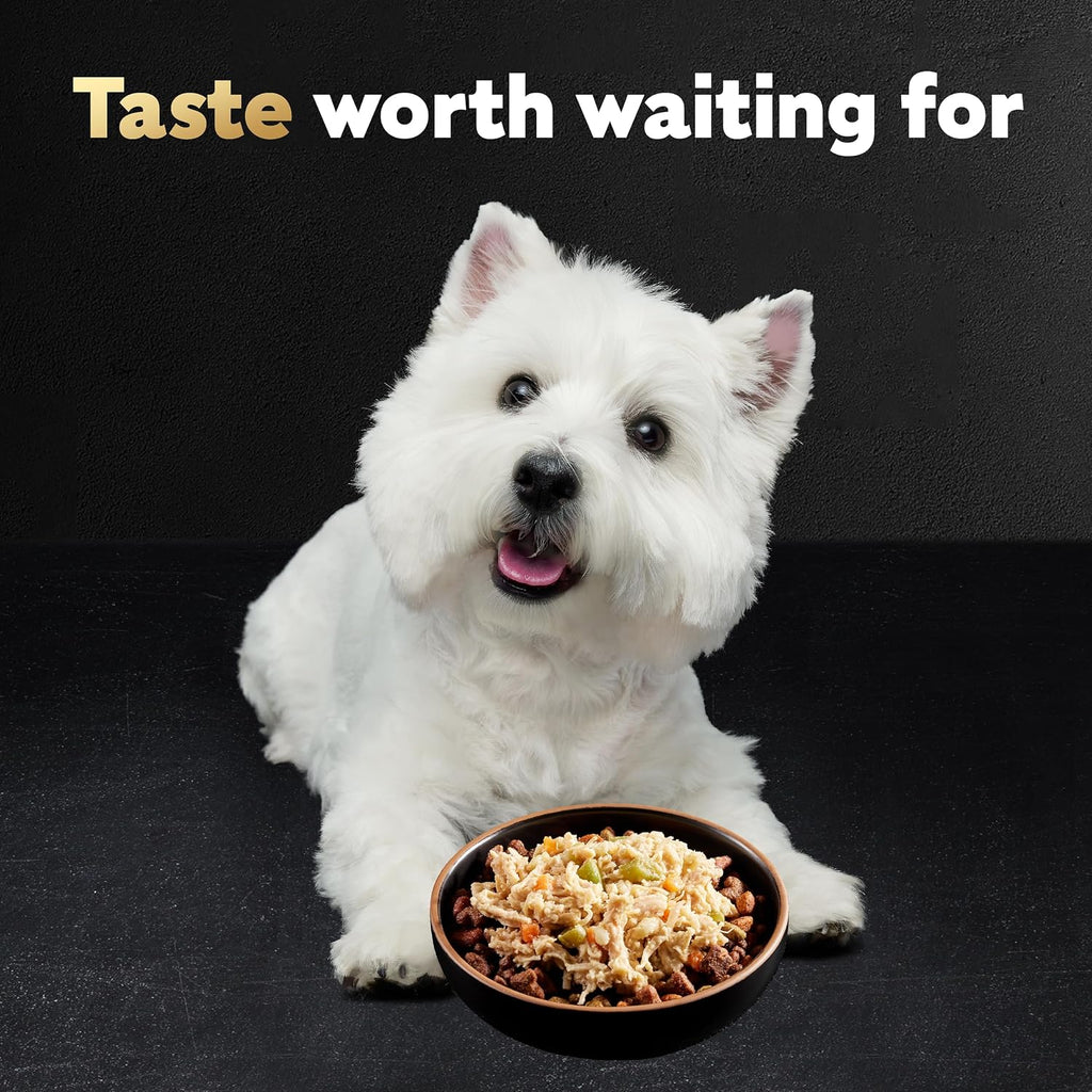 Cesar Wholesome Bowls Wet Dog Food, Chicken & Apple, 3 oz, 10 Count | Real chicken #1 ingredient, slow-cooked, 9 key ingredients, no by-products or artificial flavors, easy to digest