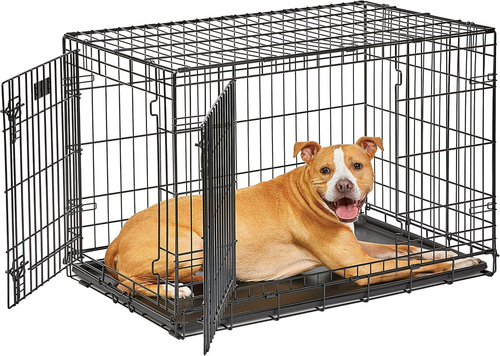MidWest Homes for Pets Intermediate LifeStages Double Door 36-Inch Folding Dog Crate, Enhanced Security, Includes Leak-Proof Pan, Divider Panel, Handle, Rubber Feet