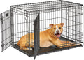 MidWest Homes for Pets Intermediate LifeStages Double Door 36-Inch Folding Dog Crate, Enhanced Security, Includes Leak-Proof Pan, Divider Panel, Handle, Rubber Feet