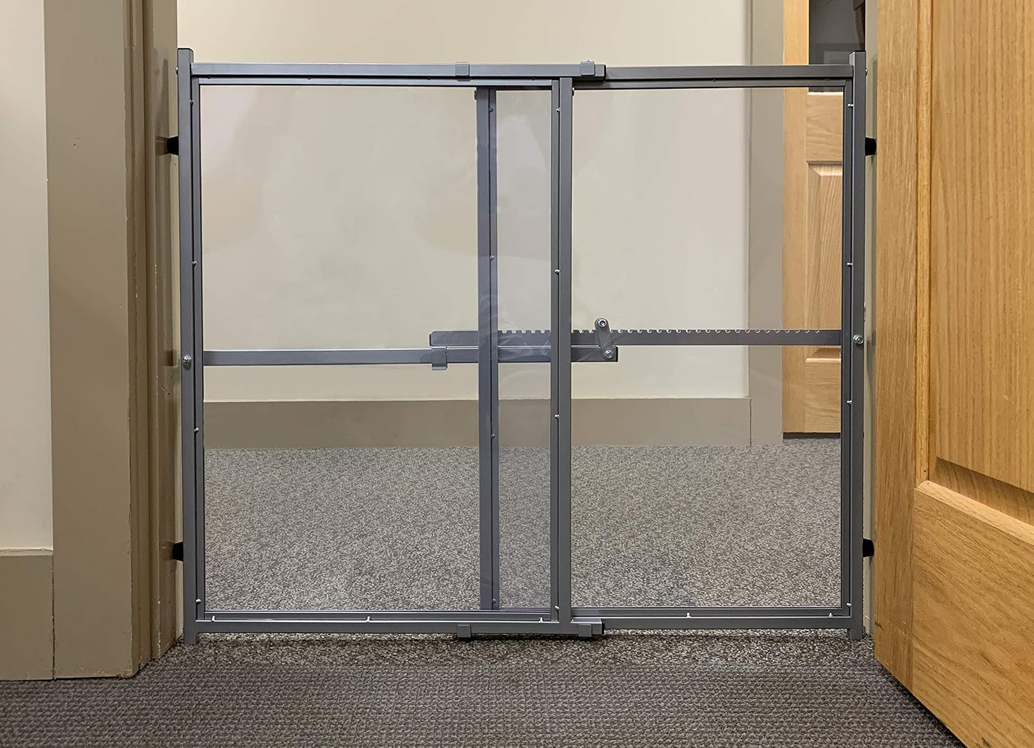 Marshall Better View Gate – 24" Tall Adjustable Pet Barrier – Clear Plexi Design for Visibility & Safety – Freestanding Gate for Ferrets & Small Animals