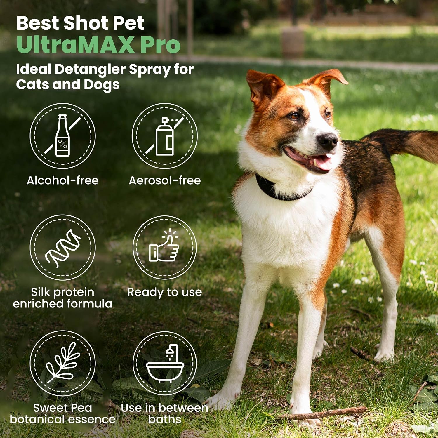 Best Shot UltraMAX Pro Finishing Spray, Ideal Detangler Spray for Pets, Hydrating and Soothing Pet Grooming Spray, for Dogs and Cats, 17 Oz. | Alcohol-free, adds sheen, detangles, hydrates, reduces static and speeds drying