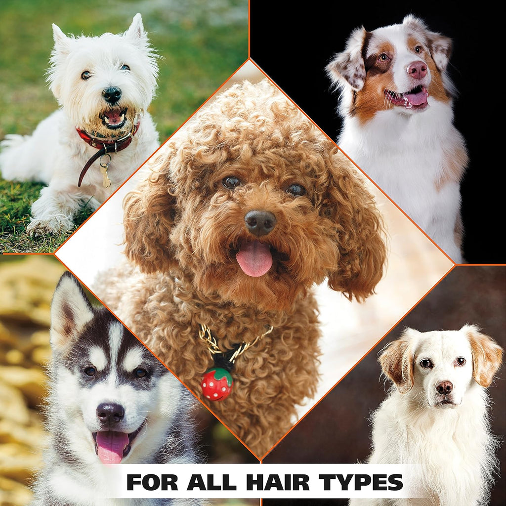 Wahl USA 4-in-1 Calming Dog Shampoo with Lavender Chamomile Scent – Cleans, Conditions, Detangles, & Moisturizes - Pet Friendly Formula - 24 Oz - Model 820000A