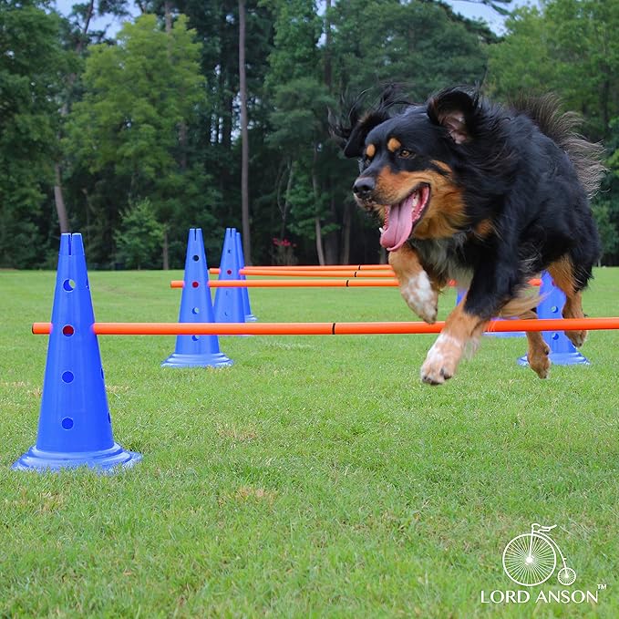 Dog Agility Hurdle Cone Set - 8 Cones & 4 Rods - Adjustable, Versatile, Heavy Duty - Agility, Obedience, Rehabilitation