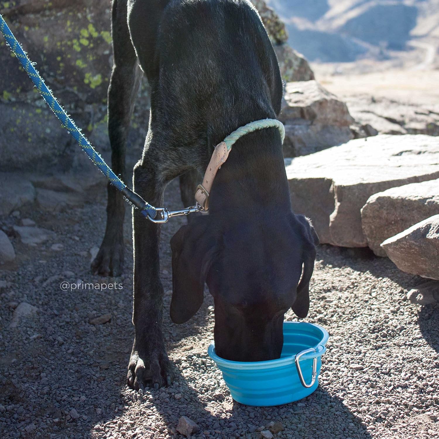 Prima Pet Collapsible Silicone Water Travel Bowl with Clip for Dog and Cat, Portable and Durable Pop-up Feeder for Convenient On-The-go Feeding – Size: Large (5 Cups) Aqua – 2 Pack